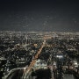 [일본 오사카] 2022.12.31 : 하루카스300 야경 전망대