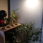 퓨쳐그린 햇빛 대체 식물등, 식물성장용 LED 쑥쑥이 사용 후기
