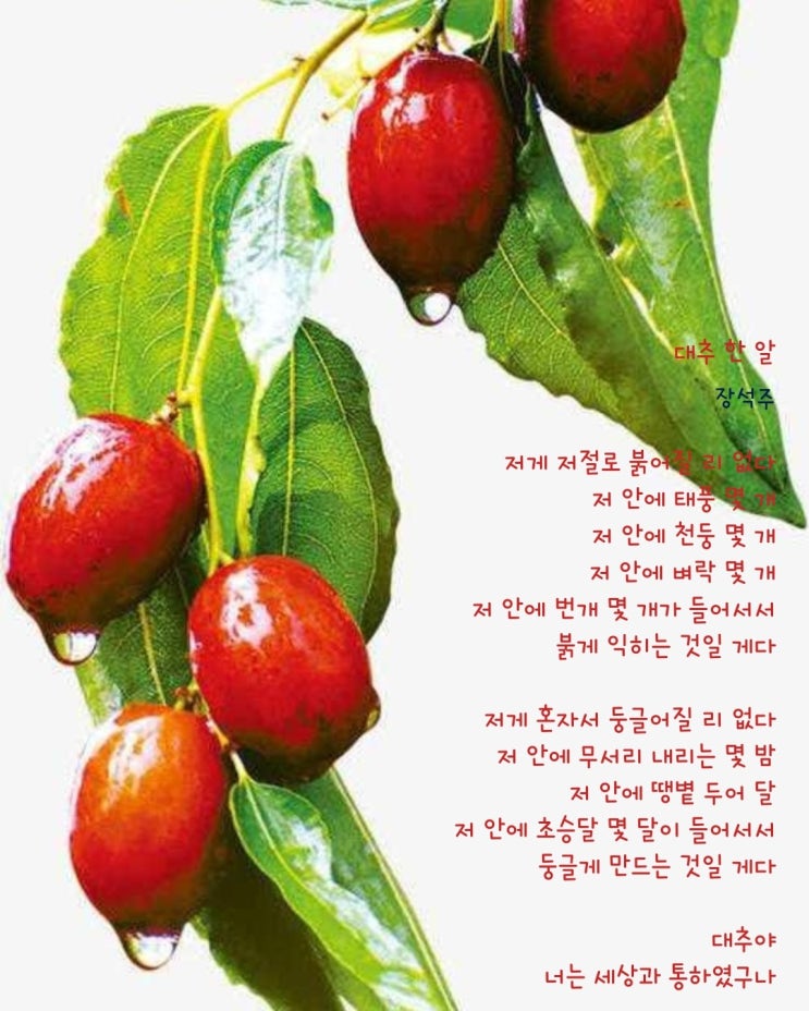 [생각 한 줌] 둘. 대추 한 알 : 네이버 블로그