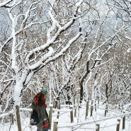 청계산 등산코스 옥녀봉 - 매봉 : 초보의 등산