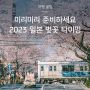 🌸봄에는 벚꽃길만 걸어요, 2023 일본 벚꽃 개화시기&명소 추천