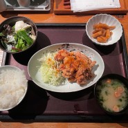 오사카 현지인 맛집) 우메다 - 하카타 모츠나베 야마야(일본식 곱창전골)(+메뉴, 가격, 장소)