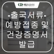 출국용 예방접종 및 건강증명서 발급