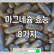 마그네슘 효능 8가지 정확히 알고 복용하세요