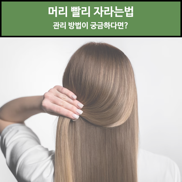 머리 빨리 자라는법 관리 방법이 궁금하다면? : 네이버 블로그