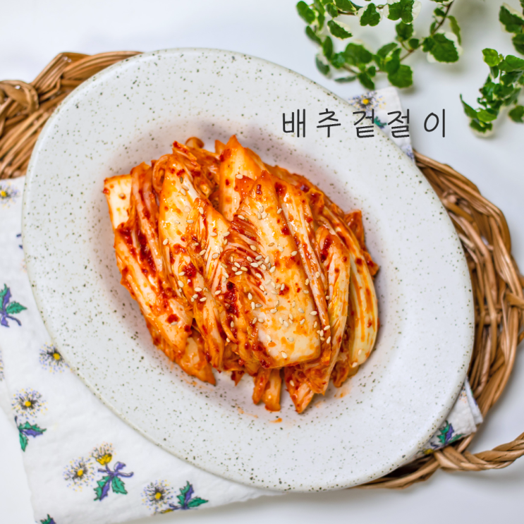 알배기 배추겉절이 양념 만드는법 간단한 배추요리 겉절이김치 : 네이버 블로그