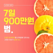 [ 뉴카인드 항개 ] 일주일 동안 900만원 벌었어요.