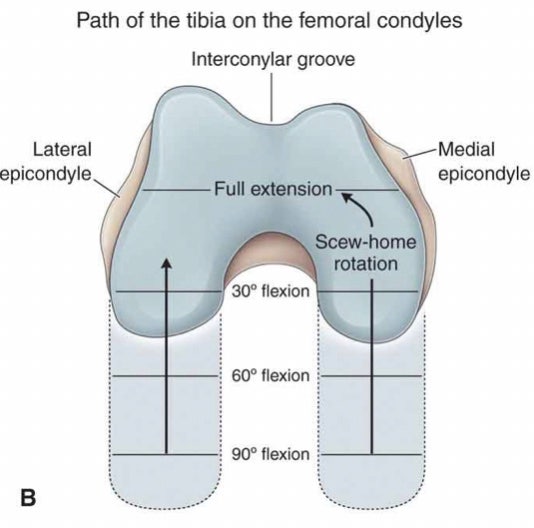 Screw home rotation mechanism 나사 홈 메커니즘 : 네이버 블로그