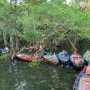 [캄보디아/시엠립] 신비로운 캄퐁플럭 맹그로브 숲, 톤레샆 호수 일몰