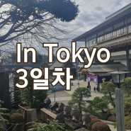 일본 도쿄여행 3일차 나리타신쇼지 그리고 일본 여행 쇼핑템 소개