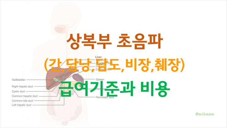 상복부 초음파 비용과 기준 (간,담낭,담도,비장,췌장 초음파 급여 기준과 비용) : 네이버 블로그