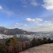 [서울#3] 논현동 가구거리에서 길을 잃다.