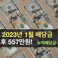 [2023년 1월 배당] 세후 557만원! 내 연봉 상승을 이긴 배당주 2개!