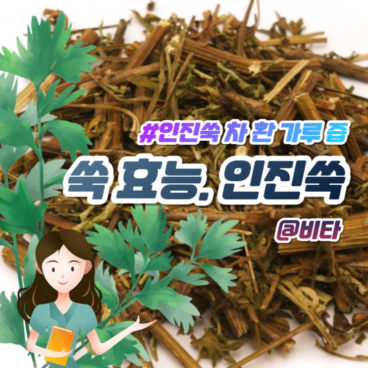 쑥 효능 인진쑥 차이 가루, 차, 즙, 환 : 네이버 블로그