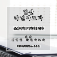 일산건마 I 일산 장항동 라인아로마에서 감성마사지를 체험하다