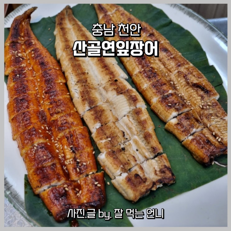 천안 장어 맛집 산골연잎장어 몸보신 가족 외식으로 추천 : 네이버 블로그