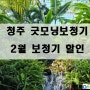 청주 굿모닝 보청기 _ 2월 보청기 할인 안내