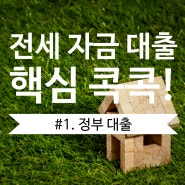 전세자금대출 한눈 비교 정리① (feat. 정부 대출)