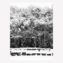 눈 오던 날, 제주 돌문화공원에서(3)