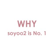 Why soyoo2 is No.1