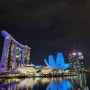 2월 상반기 💜 5박 6일 싱가포르 여행일기