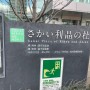사카이시의 일본차 문화에 체험하기(관서외어전문학교)