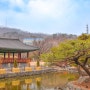 서울 가볼만한곳-남산골 충무로 한옥마을 겨울 풍경
