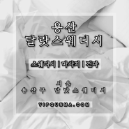 용산건마 I 용산 달랏스웨디시 - 두바이식 마사지의 선두 !