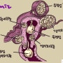 자궁근종 절제술 아직도 개복수술? 방법은 여러가지