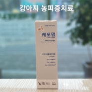 케모덤 ChamoDerm 강아지용 농피증 치료제 동물약국 청주동물약국 늘봄동물약국