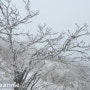 2023/02/16 무주 덕유산, 금산 하늘물빛정원