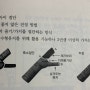 [나무의사 도전기] 수목관리학 _ 전정 방법