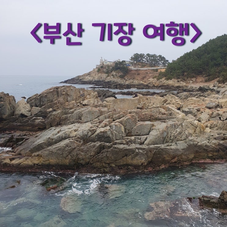 기장여행 2박 3일 : 네이버 블로그