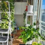 홈가드닝 식물키우기, 실내 식물 관리와 인테리어 꿀팁!