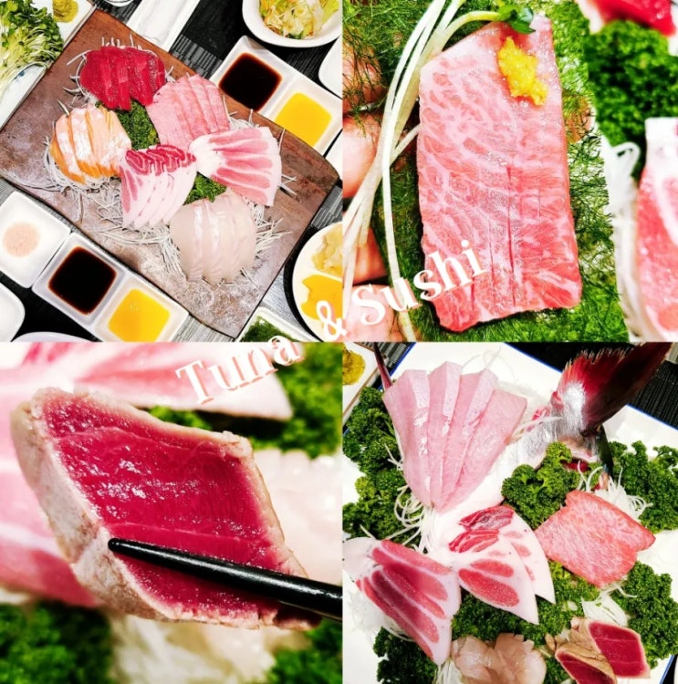 삼성역 선릉역 참치 정참치 일식집 참치회 인생맛집 로얄코스 상세후기 : 네이버 블로그