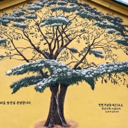 [천연기념물 이팝나무 대형벽화]양산 당산나무 복구벽화작업