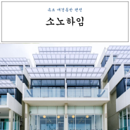 강원도 속초 애견동반 펜션 바다뷰 소노하임