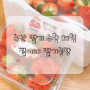 대전 근교 논산 딸기 체험농장 별이네 딸기농장