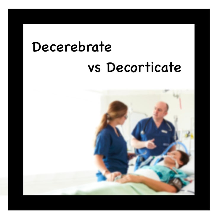 Decerebrate? Decorticate? (feat. 제뇌자세, 제피질자세) : 네이버 블로그