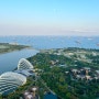 싱가포르 :: 신혼여행👫🏻,싱가포르여행준비,에어프레미아 비행기 후기