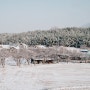 겨울 설산 트래킹 명소 장성 축령산 편백 치유의 숲 폭설 여행