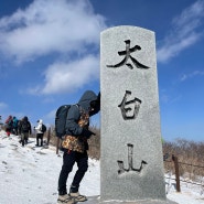 평일에 가는 것이 좋을 것 같은 태백산 최단코스, 놀이동산인줄.