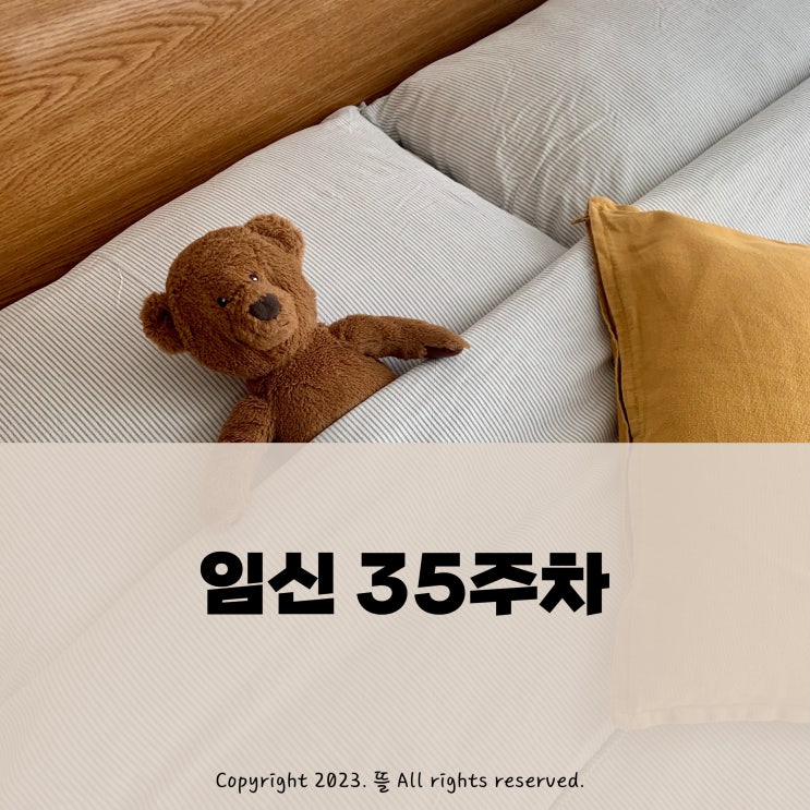 [임신기록] 임신후기 35주차 일상 / 막달검사 / 발렌타인 곰돌이 파베초콜릿 / 태동포착 : 네이버 블로그