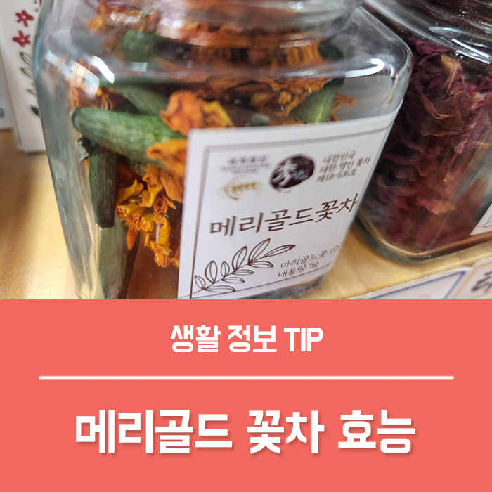 메리골드 꽃차 효능 6가지, 메리골드 먹는법 꽃말은? : 네이버 블로그