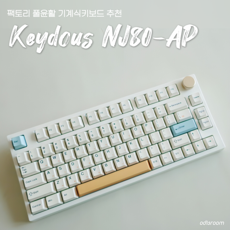 기계식키보드 키더스 Keydous NJ80-AP 데스크셋업 추천템 내돈내산 후기 : 네이버 블로그