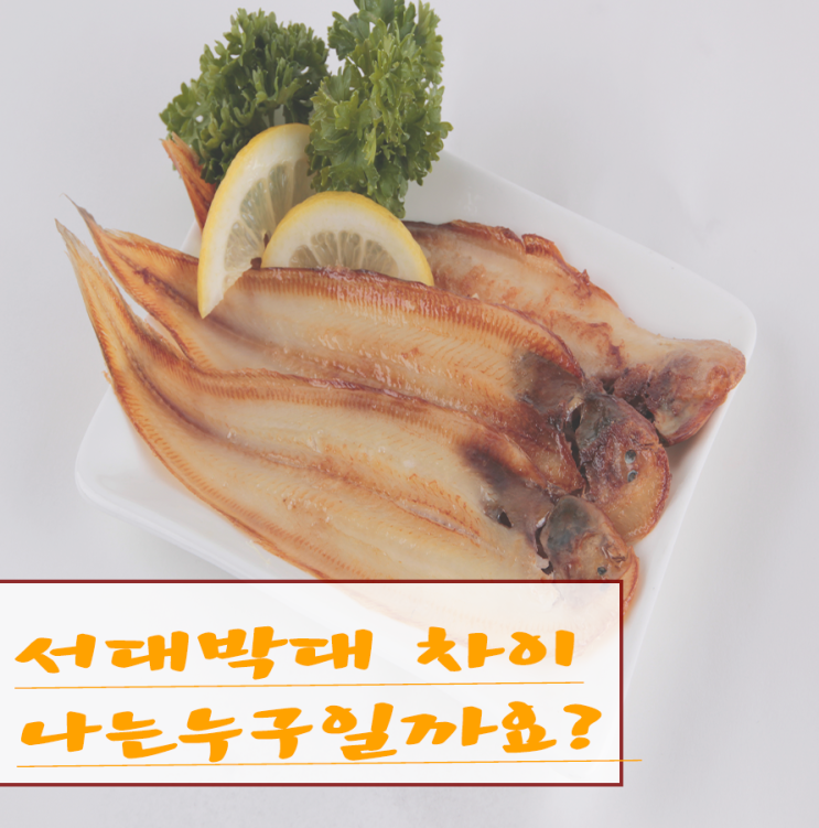 서대 박대 차이, 나 누구게?? : 네이버 블로그