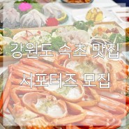 [강원도 속초] 속초 맛집 방문 블로그 서포터즈 모집합니다!