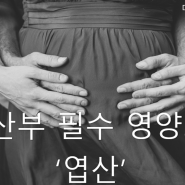 임신 전부터 챙겨야 하는 임산부 필수 영양소 '엽산'!