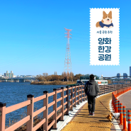 [서울] 주말 나들이 강아지랑 가볼만한곳 '양화한강공원' 산책하기 좋은 코스