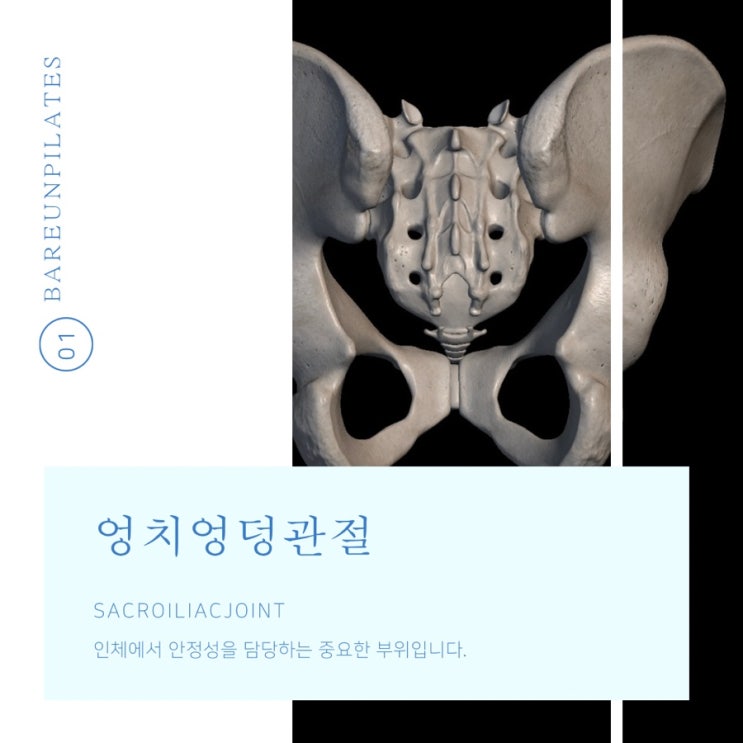 엉치엉덩관절(Sacroiliac Joint) : 네이버 블로그